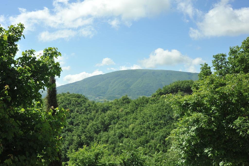 Agriturismo Paradiso 44 أسيسي المظهر الخارجي الصورة