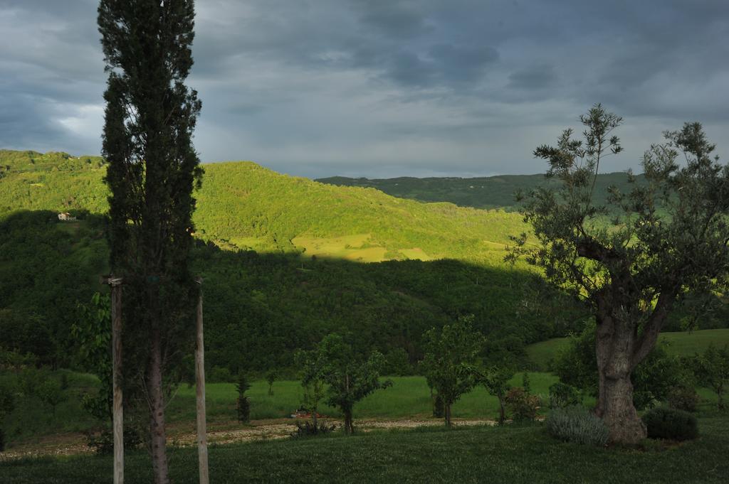 Agriturismo Paradiso 44 أسيسي المظهر الخارجي الصورة
