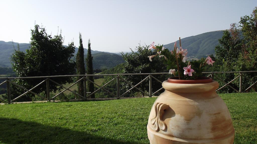 Agriturismo Paradiso 44 أسيسي المظهر الخارجي الصورة