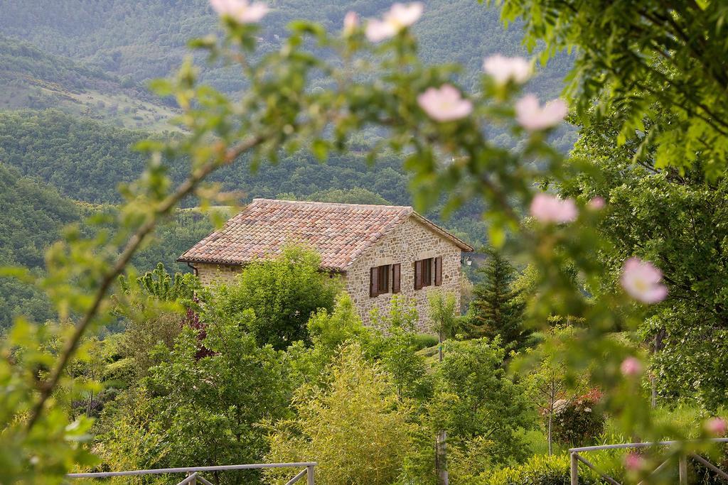 Agriturismo Paradiso 44 أسيسي المظهر الخارجي الصورة